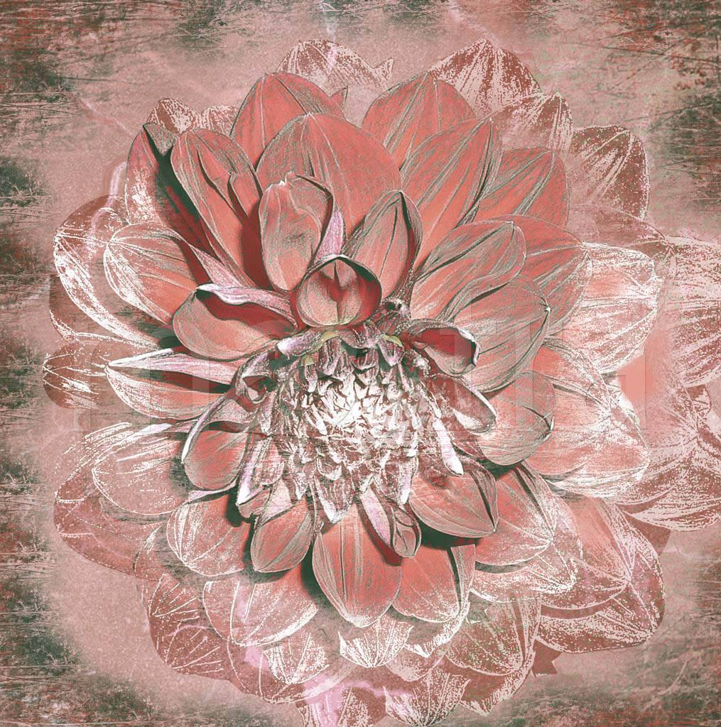 Фотообои Розовые арт цветы