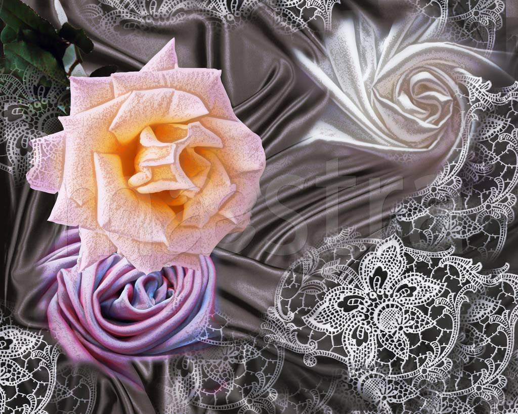Фотообои Розы на черном абстракция
